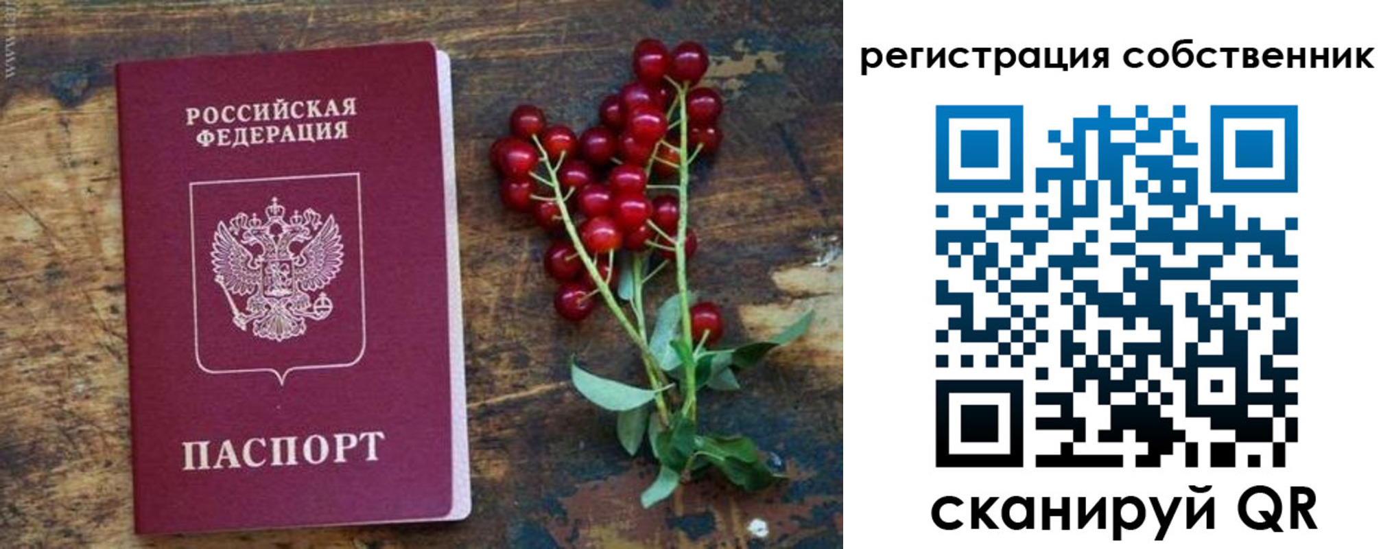 регистрация для дет. сада в Далматово